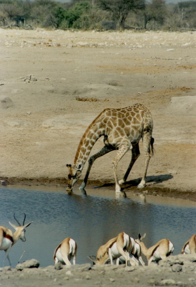 Namibia