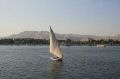 IMG_2481.jpg